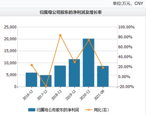 赛微电子股权激励合法性解析 减持潮下的财务隐忧与管理层博弈